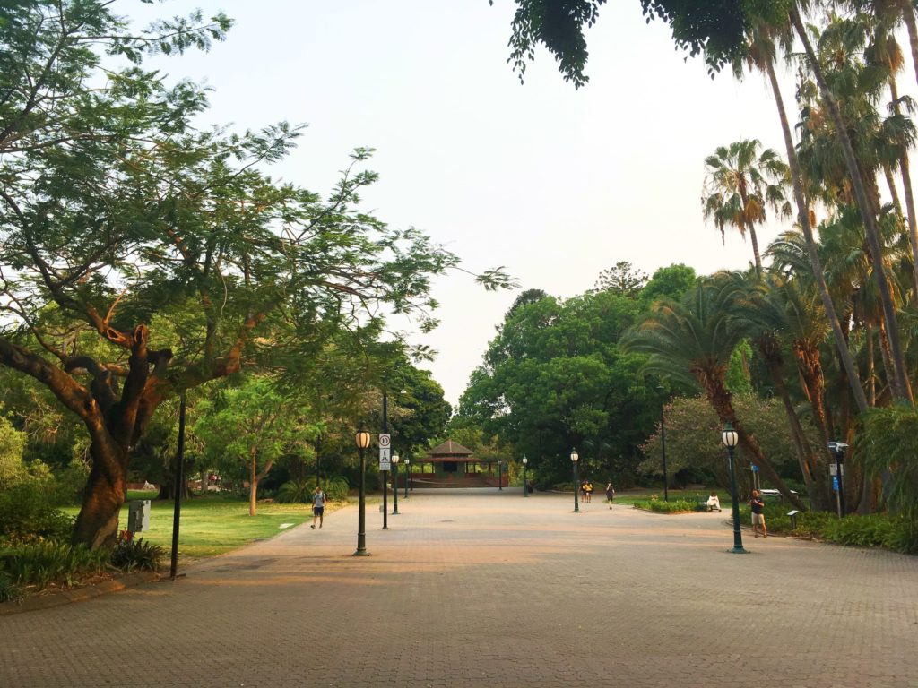 ブリスベンシティボタニックガーデン(Brisbane City Botanic Garden))